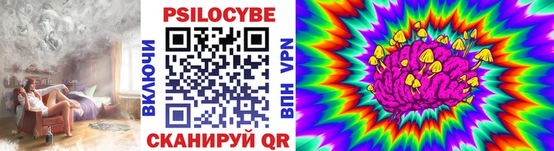 Псилоцибиновые грибы Magic Shrooms  продажа наркотиков  Сусуман 